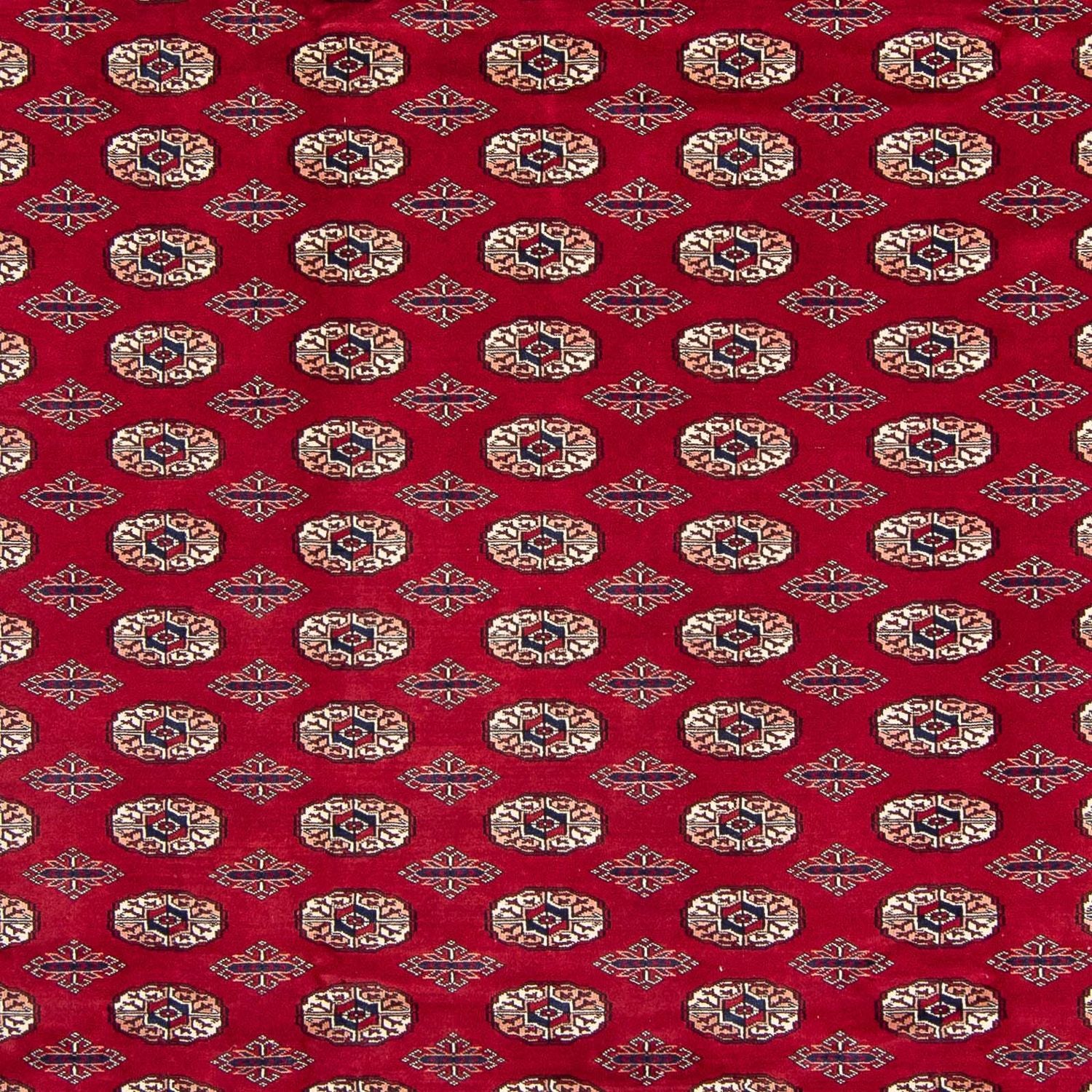 Afghan Teppich - Buchara 303 x 253 cm