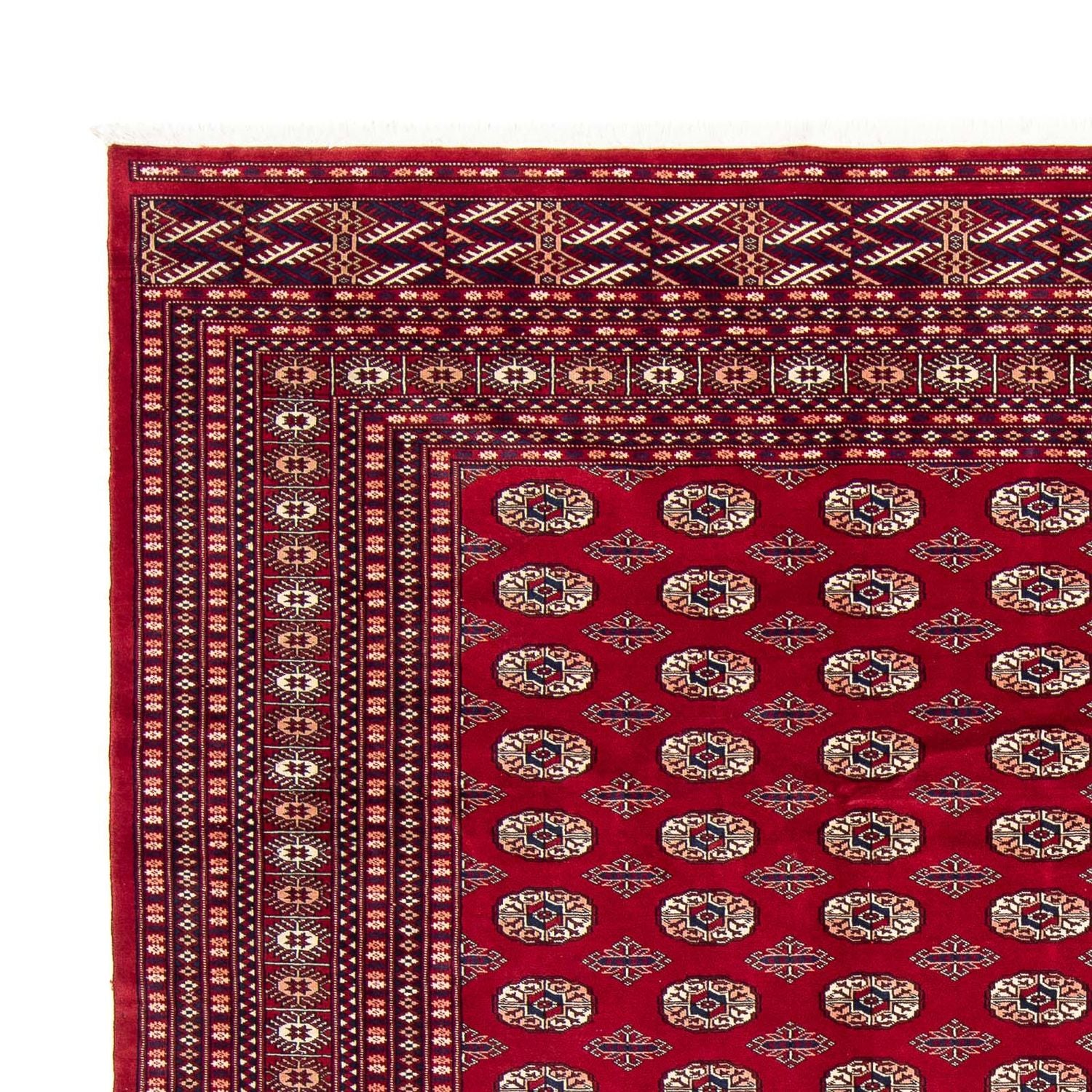 Afghan Teppich - Buchara 303 x 253 cm