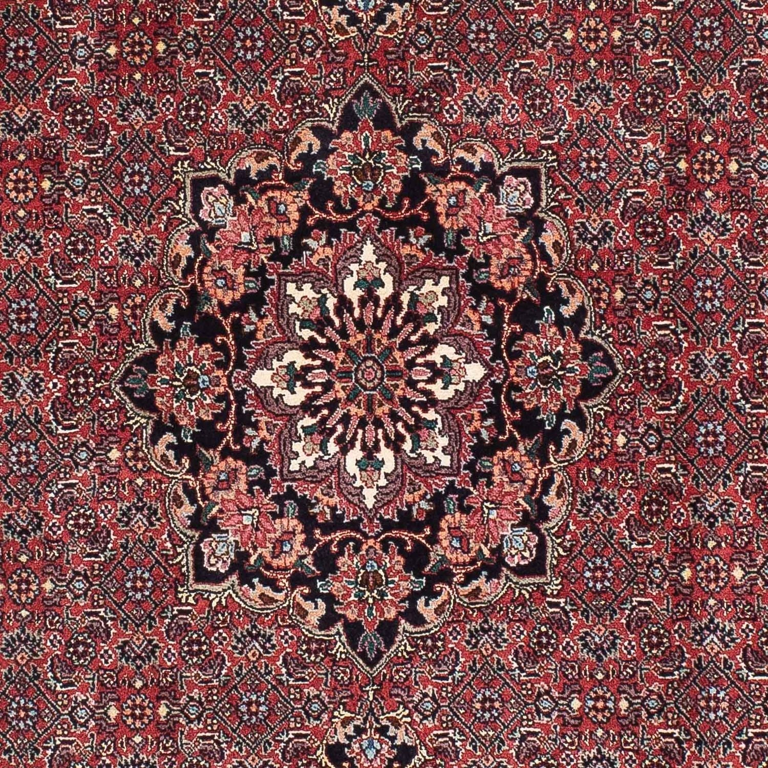 Perserteppich - Bidjar - Royal 198 x 101 cm