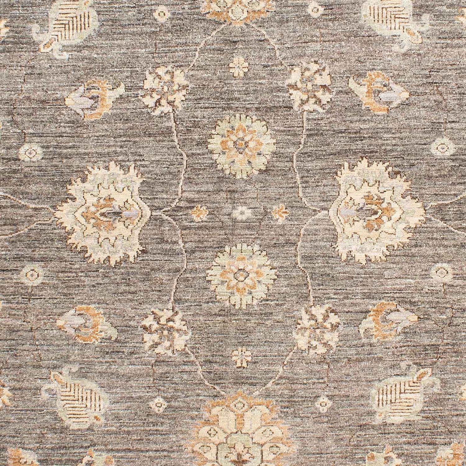 Ziegler Teppich 242 x 173 cm